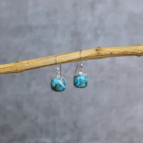 Cushion Conquer - Turquoise Dangle