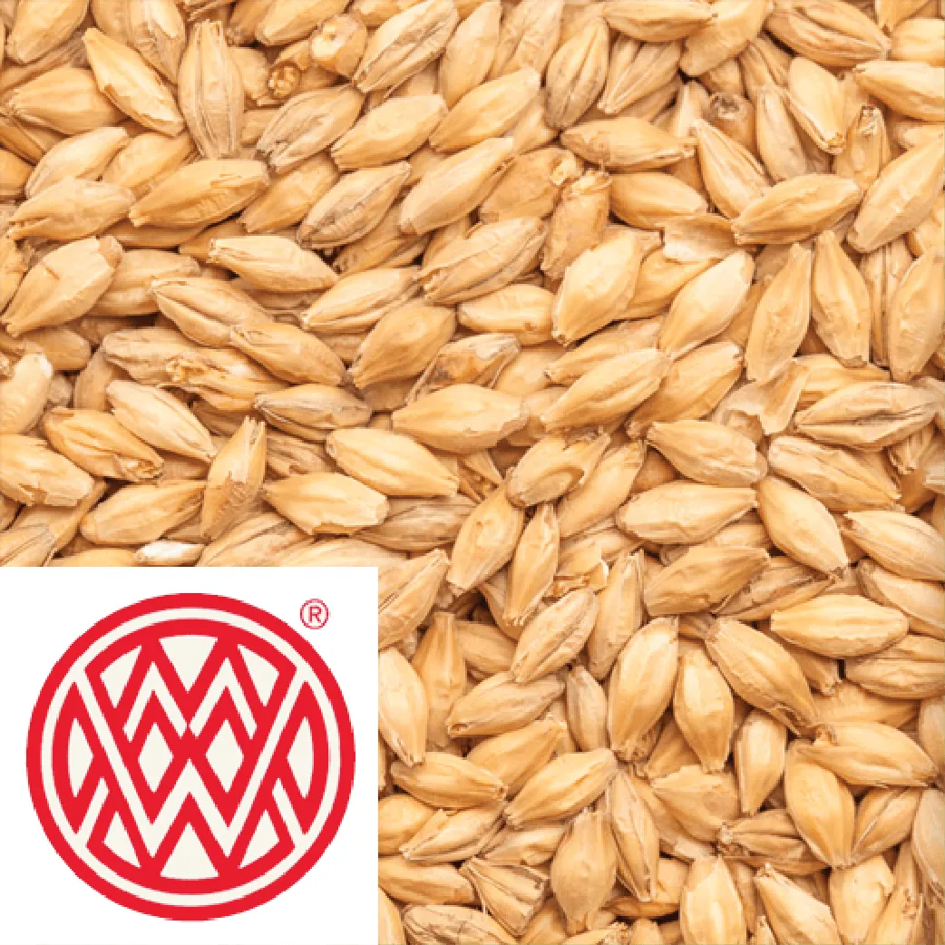 Floor Malted Bohemian Pilsner - Weyermann (GER) - per kg