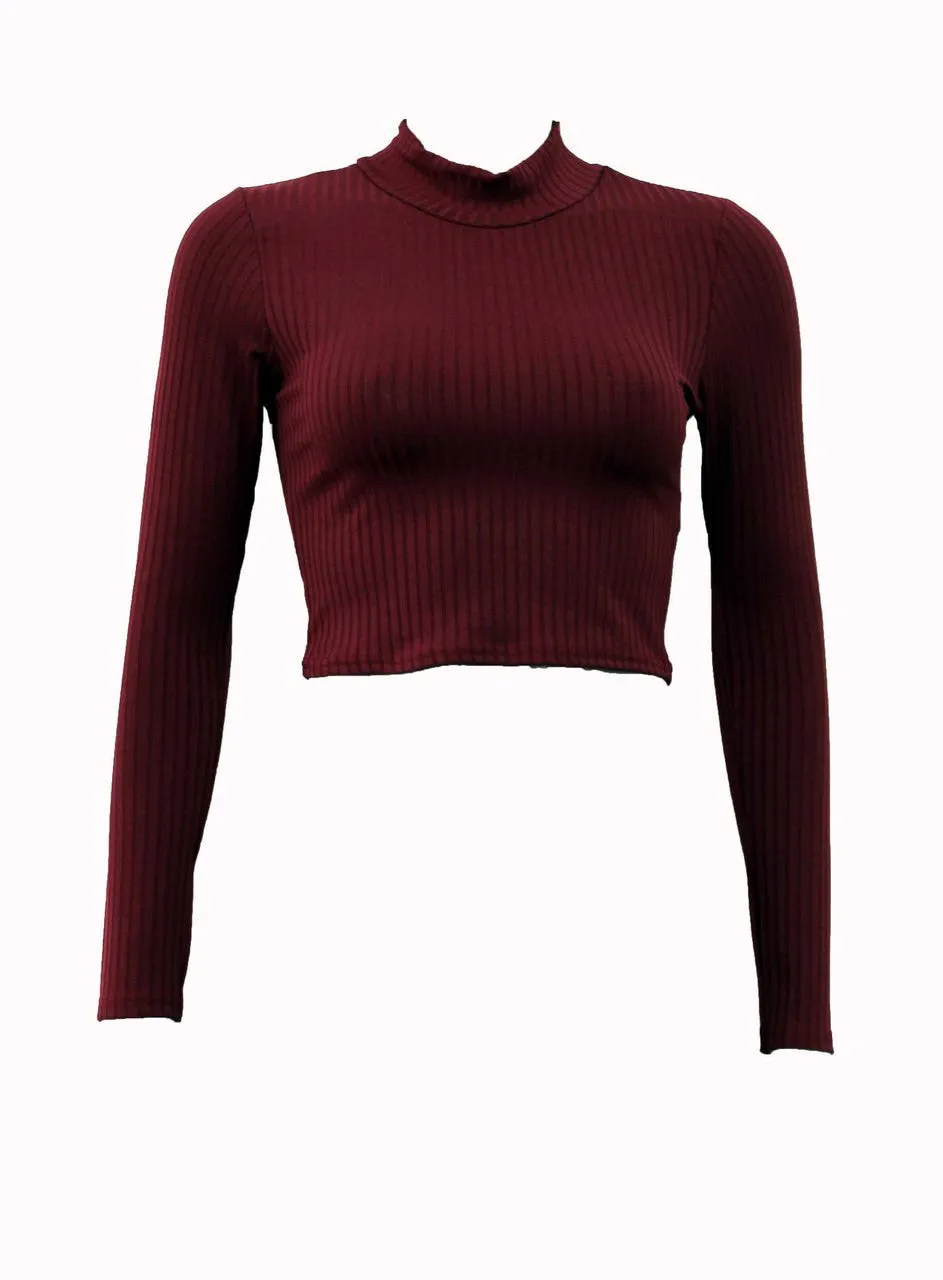 Long Sleeved Turtle Neck Knitted Cropped Top