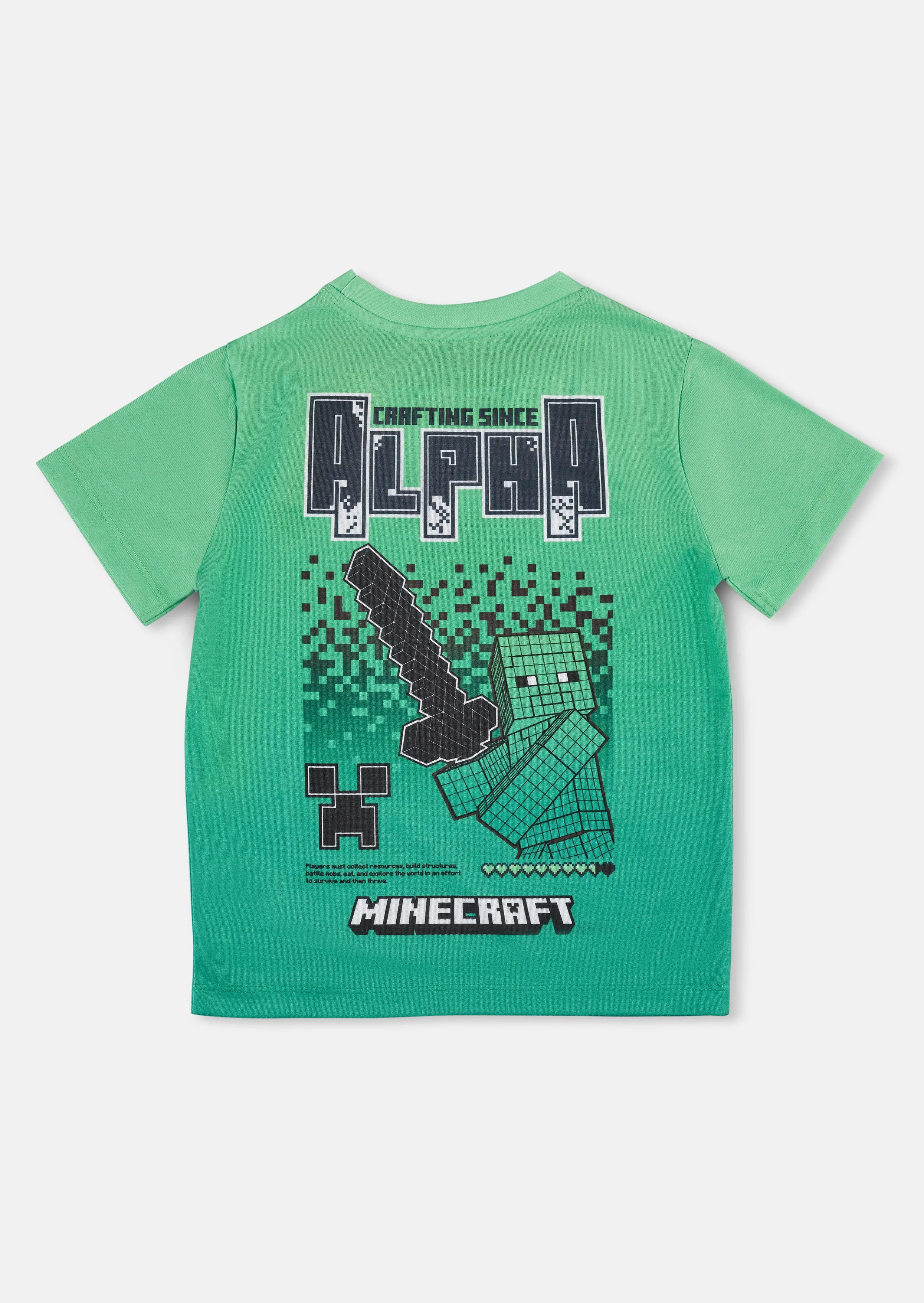 Minecraft Graphic Tee