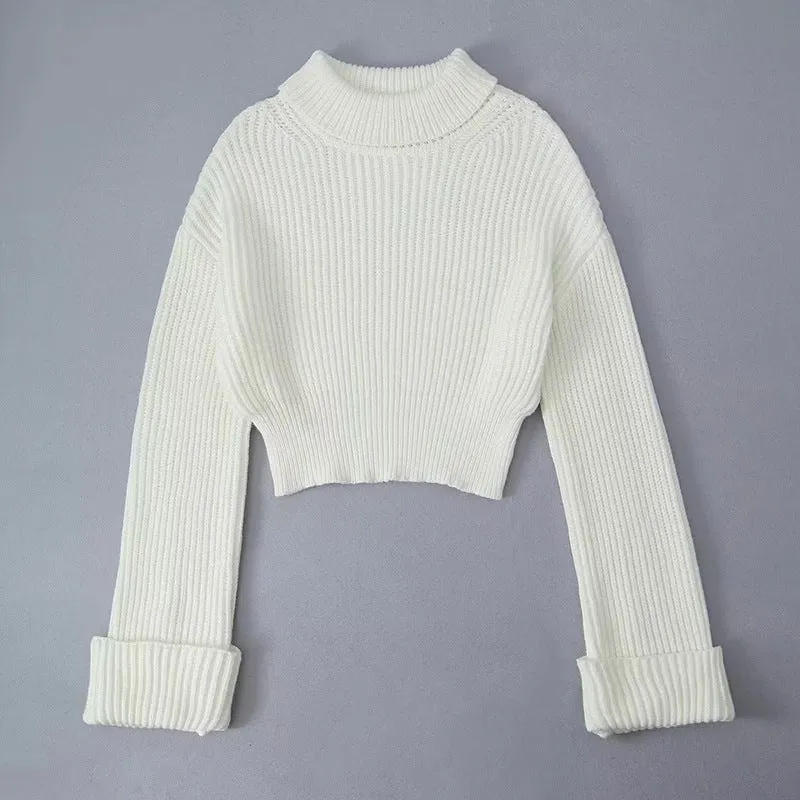 Pre Order: Turtleneck Slim Fit Long Sleeved Solid Knitted Sweater