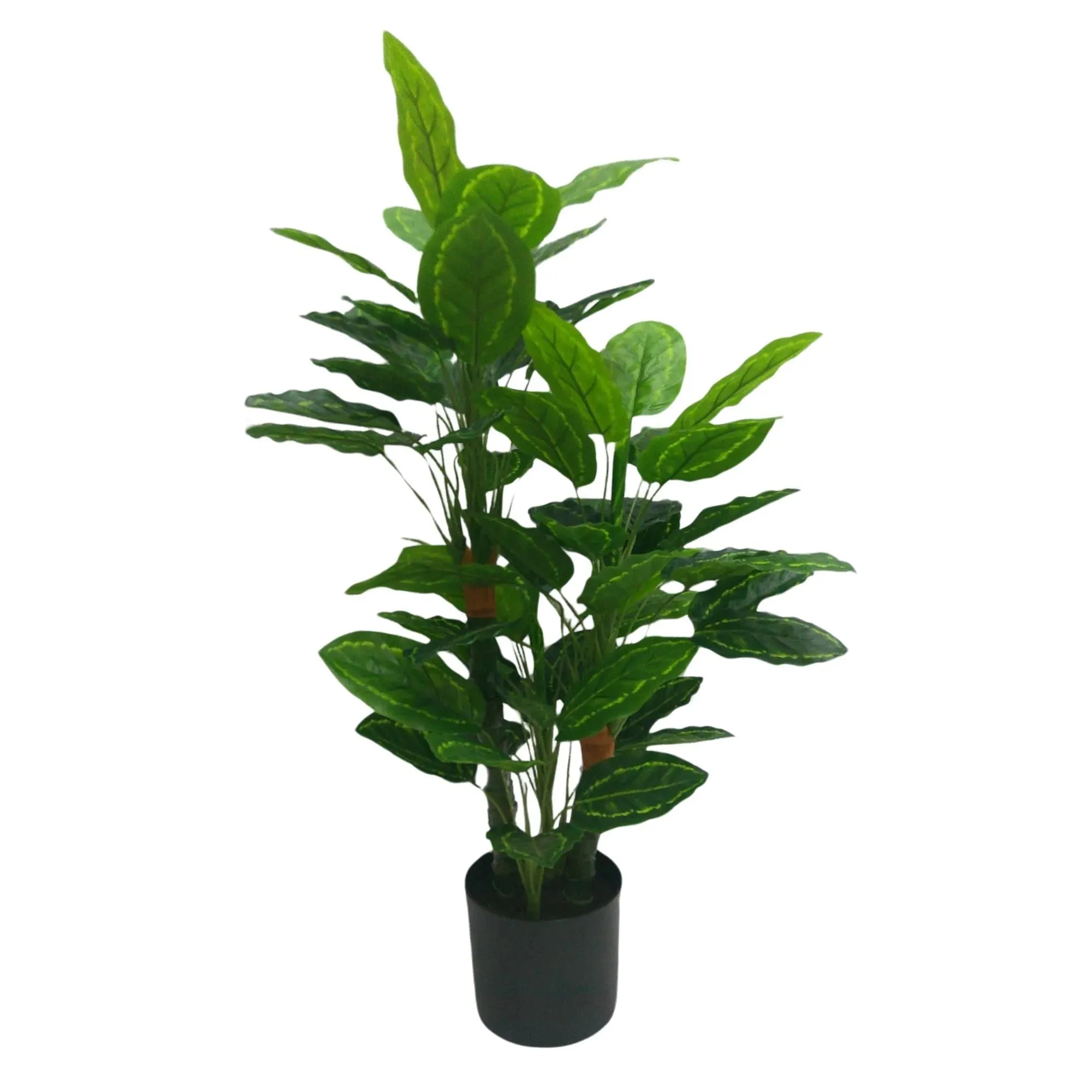 Premium Artificial Cordyline Fructicosa Green / Ti Plant 90cm