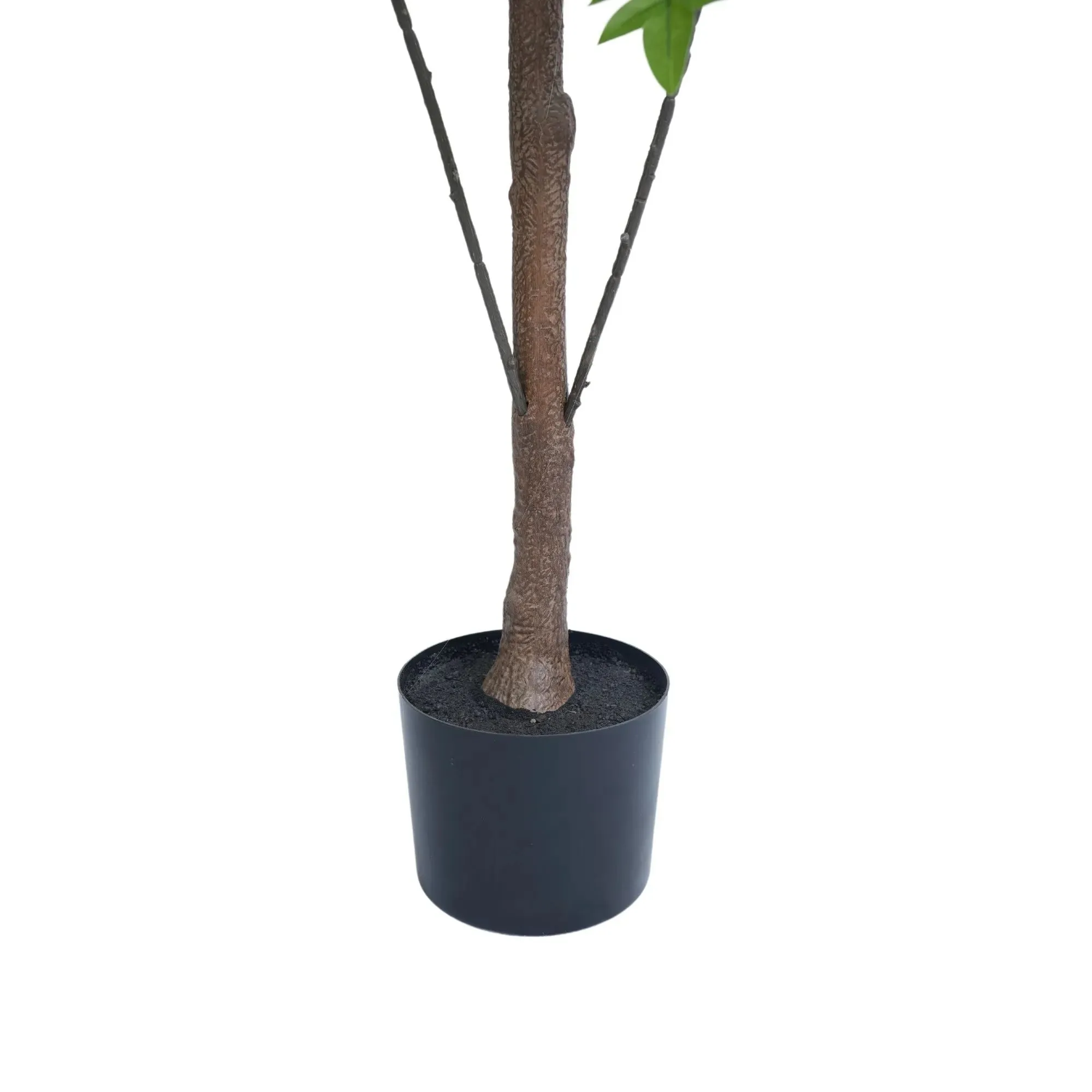 Premium Real Touch Artificial Bracken Palm Tree 180cm