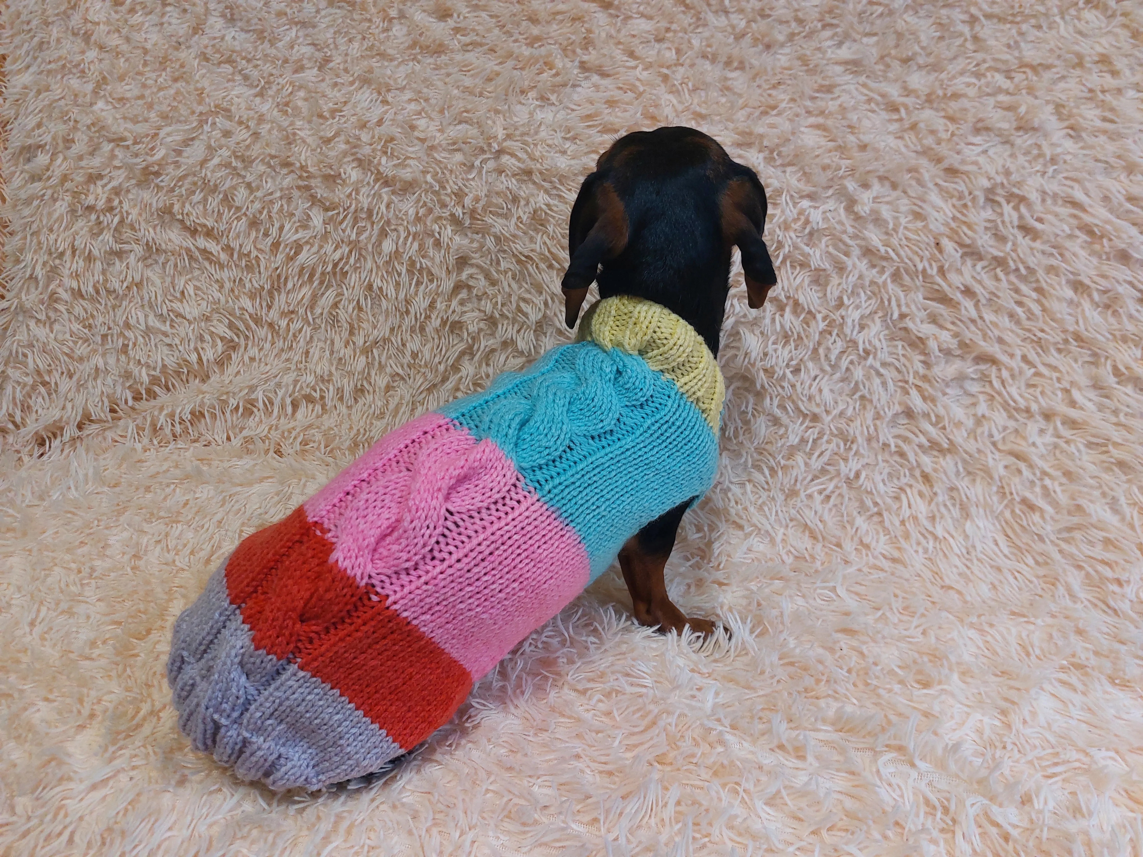 Rainbow striped wool jumper winter for dog, dachshund winter sweater with aran