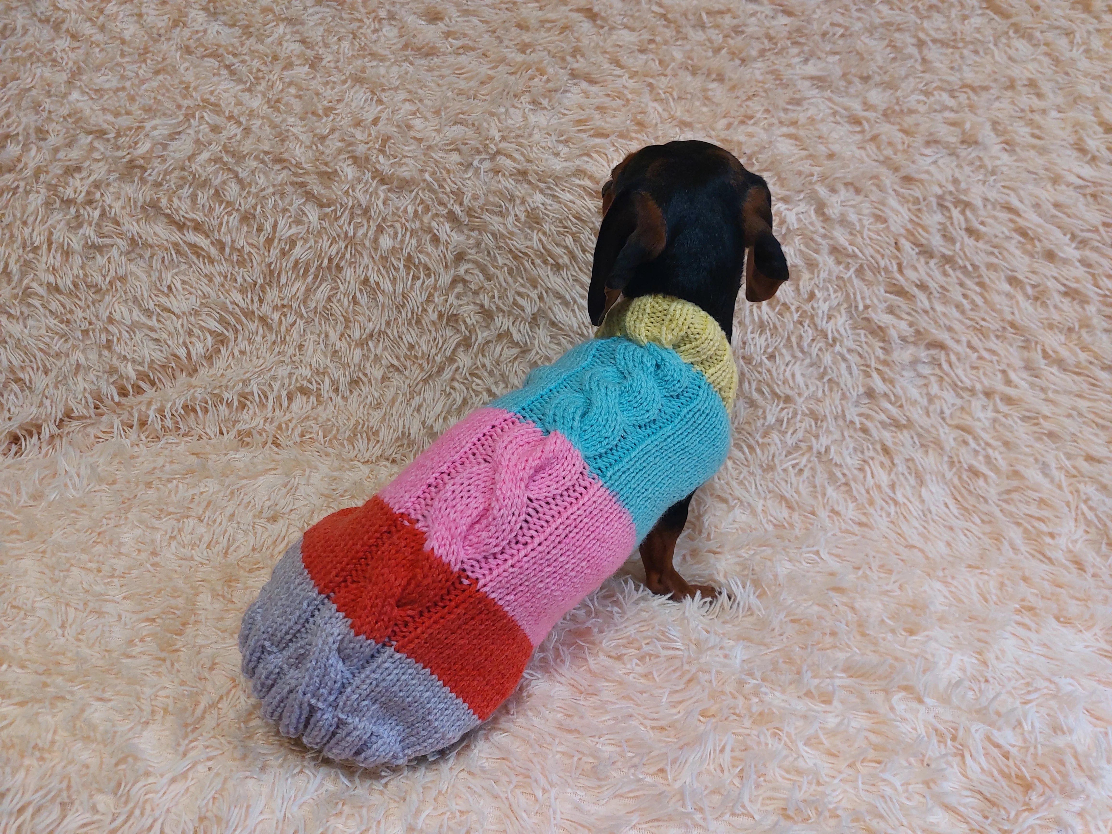 Rainbow striped wool jumper winter for dog, dachshund winter sweater with aran