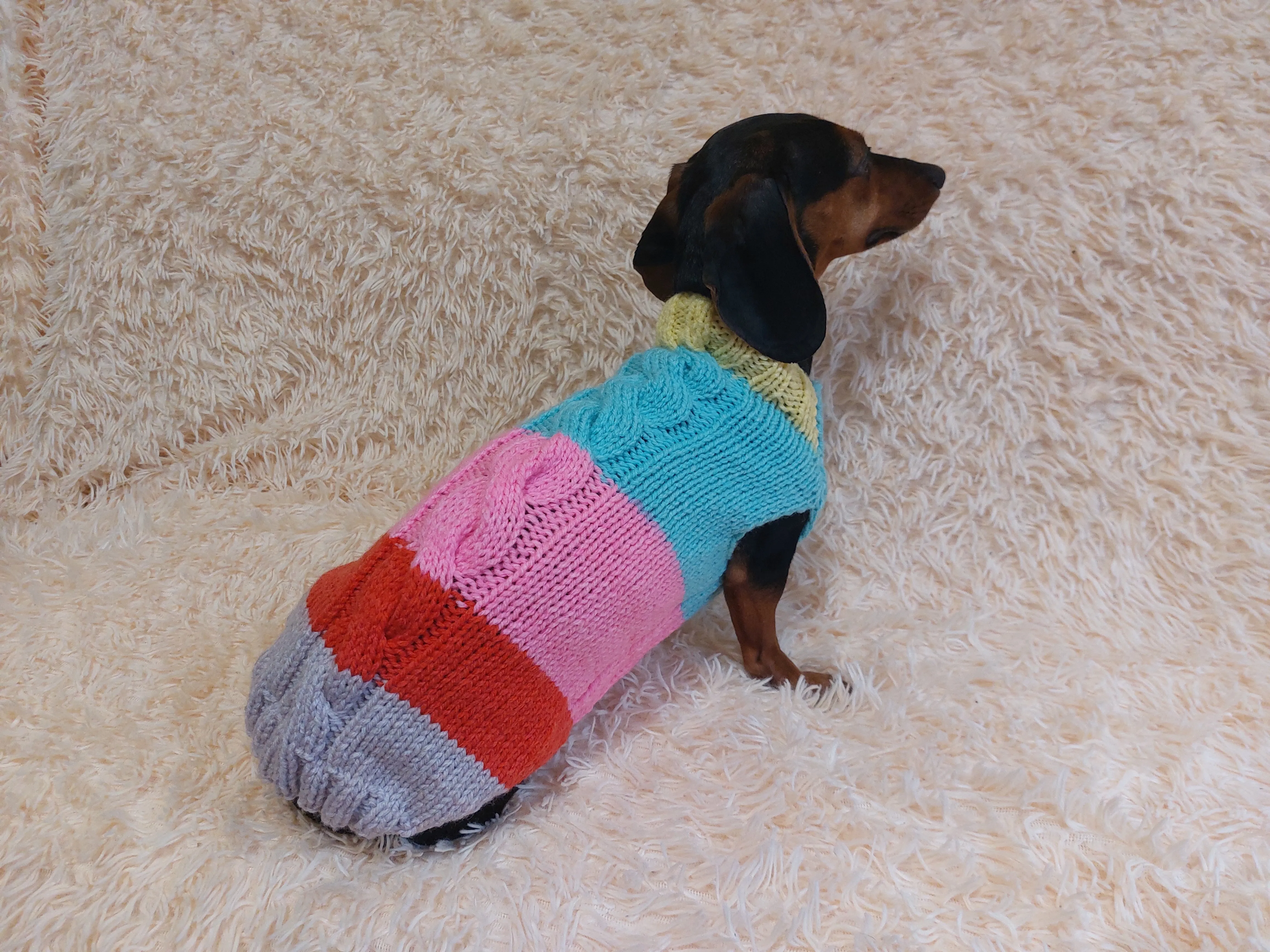 Rainbow striped wool jumper winter for dog, dachshund winter sweater with aran