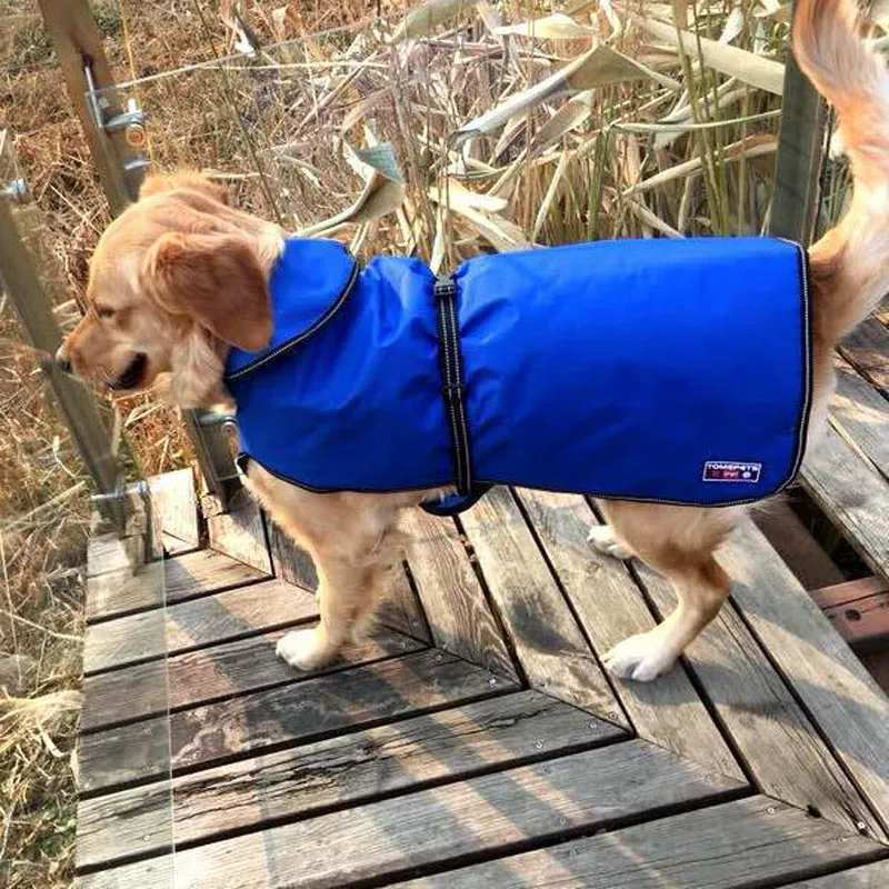 Safety Waterproof Vest With Belt Raincoat For Dogs