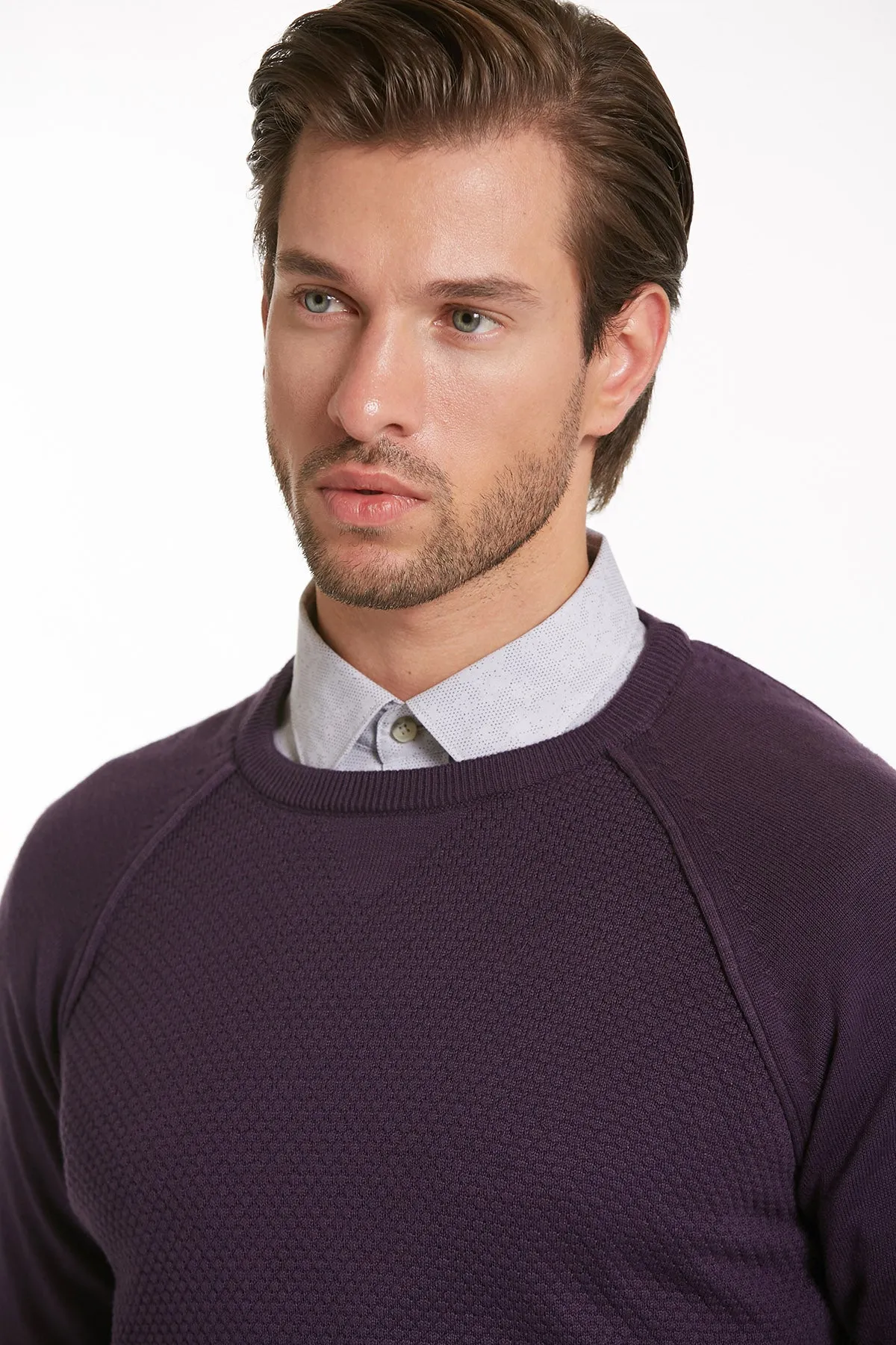 Slim Fit Purple Cotton Blend Crewneck Sweater