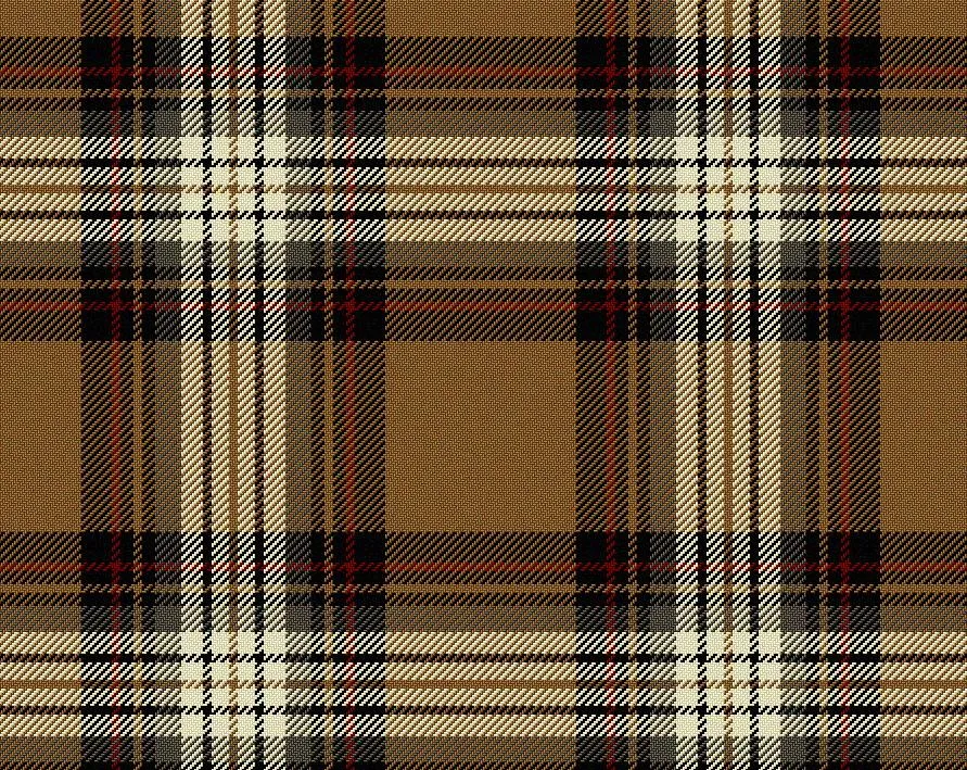 Stewart Camel Modern Tartan Scarf